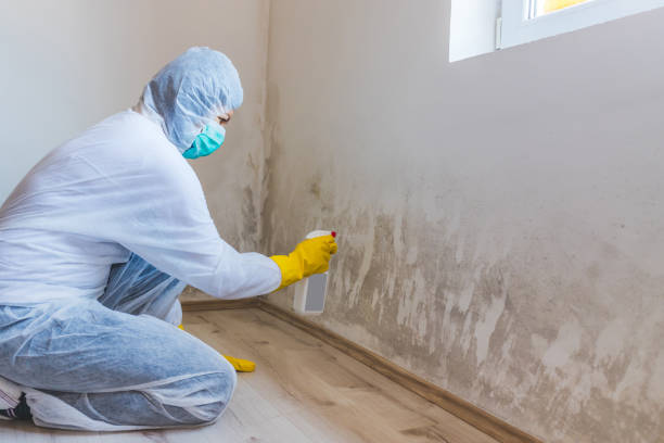 Mold Remediation specialist working in Gulf